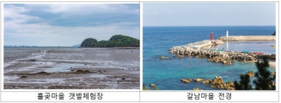 두어리특화어촌위원회영어두어물장어 | 8월의 수산물은 '문어·장어'…어촌여행지는 '안산 홀곶·삼척 갈람마을'