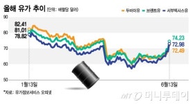 써니항공해운주 | 같은 운송업인데…이·이 전쟁에 해운주-항공주 희비 교차
