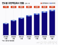 유한책임회사벨스트리트파트너스 | 여야 법안발의 통했지만...MBK·아디다스 회계 감시법 올해도 무산