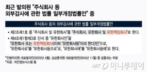에듀업나우유한책임회사 | 국내 투자 위축 막으려면…"외감 의무화, 정교해야"