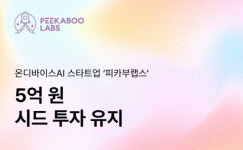 온디바이스 AI 전문 '피카부랩스', 5억 규모 시드투자 유치