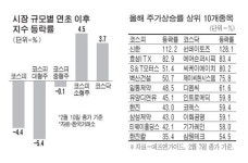 (주)비에이치(BH)헬스케어 | 헬스케어·게임 중소형株 `진격`
