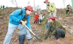 강산농원 유한회사 농업회사법인 2공장 | 유한킴벌리, `우리 강산 푸르게` 30년 됐네