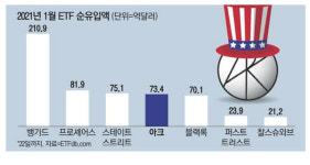 "우드 누님 최고!" 테슬라 대박낸 '아크ETF'에 뭉칫돈