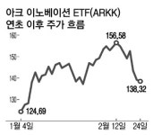 '돈나무 누나' 캐시우드 위기?…아크ETF 하루 4.5억弗 유출
