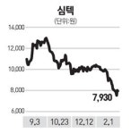 (주)심텍-(3-터보-1) | 심텍 하반기나 돼야 실적 개선