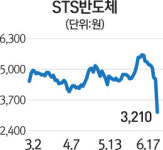 에스티피씨(STPC)짱치킨 | '워크아웃 돌입' STS반도체·코아로직 하한가