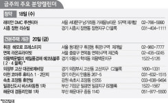 바뀐 청약제 첫 적용...래미안 DMC 루센티아 18일 1순위 접수