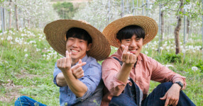농업회사법인빨강사과주식회사 | 청년 농부 ‘고품질 사과 판매 전략’ 온라인서 통했다