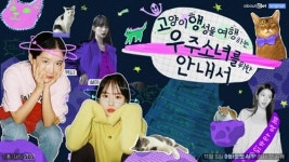 고양이 일일집사가 된 우주소녀 설아, 엑시, 어바웃펫 ‘고.행.우’ 오리지널시리즈 출연