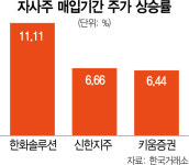 세진클럽항공주 | 약발 세진 '자사주 매입' …초반에 산 개미, 돈 벌었네