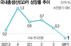 한국 뚸뚸핀(韓國 多多?) 산업 유한회사 | 韓, 4분기 역성장 가능성…내년도 '살얼음판'