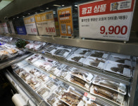 도레미가든횟집.편의점 | 오징어가 사라졌다…조업량 급감에 횟집·편의점서 자취 감춰