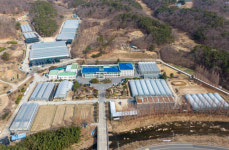 울산시, 신품종 배 ‘설원’ 생산단지 조성