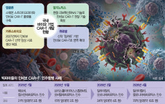 인비올컴퍼니 | 릴리가 베팅한 ‘인비보 CAR-T’…韓기업도 개발 속도