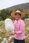 금강푸드동아운수구내식당 - 강북구 인수봉로 145 | CJ푸드빌 계절밥상, '동아' 메뉴 다시 선보인다