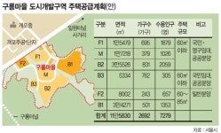 서울 마지막 판자촌 '구룡마을' 2700가구 아파트 단지 된다