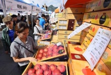 에스에이리테일바로마켓농축산물직거래장터 | 추석맞이 농수축산물 광화문 직거래장터