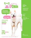 "5월 9일은 ‘오구데이’…반려동물 입양의 날"