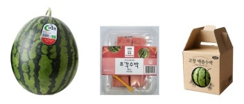 씨유(CU)광주수박등점 | "편의점에 수박 열렸네" CU 통수박부터 조각 수박까지 판다