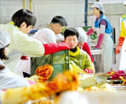 촌사람영농조합 제2공장 | 공장 텃밭서 키운 배추로 '사랑의 김장 담그기'