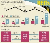(주)코크렙청진18호,19호위탁관리부동산투자회사 | '큰손' 전유물 된 리츠…개미들엔 '그림의 떡'