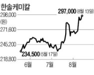 2차전지 사업 본궤도…한솔케미칼 목표가 줄줄이 오르네