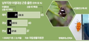 '미얀마 나비'가 인천 섬에…북상 빨라진 '아열대 곤충'