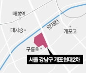 개포현대속셈 | ‘개포 노른자위’ 개포현대2차 재건축 잰걸음
