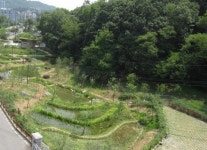 구로구 궁동생태공원, 환경부 자연환경대상 수상