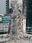 ‘신촌 연세로’, 국토도시디자인대전 대통령상 수상
