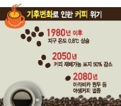 밥보다 자주 먹는 커피…왜 유기농은 안 따지죠?