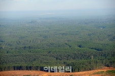 우리민산림개발 | 산림 선진국으로 가는 길… 해외자원개발이 답이다