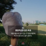 5월 꽃축제는 여기! 인생샷 찍으러 떠나보자~