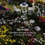 5월 꽃축제는 여기! 인생샷 찍으러 떠나보자~