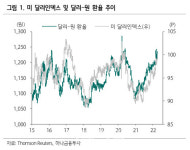 "2분기 원·달러 환율 상단 1245원…3가지 이유는"