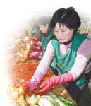 하나농산농협김치부산영업소 | “별미 김장김치 담가볼까”