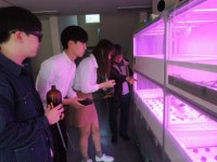 남한강원예조경남한강농산물판매 | 배재대 원예조경학부 “머지 않아 수십층 빌딩서 농산물 생산, 스마트폰으로 농사”