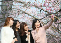 이서면 신촌리 485 | 복사꽃 배경으로 찰칵