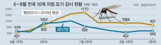 마임부산남부 소현지점 | 그 많던 모기, 다 어디로 갔을까