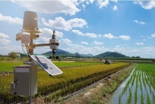 스마트팜 기술 1세대에 머물러 있는데...R&D 예산은 오히려 줄어