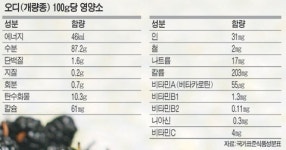 (주)풀무원푸드앤컬처 오디텍 | ‘오백원짜리’ 머리구멍 나지않게… ‘오디’로 주문 걸자