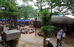 카페그린그린cafegreengreen | 그린벨트 훼손 실형받고도 배짱영업 … 카페업주 구속