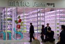 과일팜채소팜 | 로봇이 채소 재배… 여기는 ‘지하철 스마트팜’
