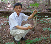 농업회사법인 동우산양산삼(주) | ''산삼 대중화'' 길 연 전병무씨 "농업개방 대안상품 개발 온 힘"