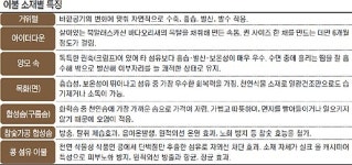 이불나라자이침장 | 보송보송한 침구와 함께 ‘환상의 꿈나라로’