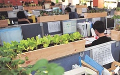 태금농협사무실 | “사무실 파티션 위에 농장 만들어요”