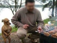 고기;한입만안산상록점 | 한입만 먹고 싶은 강아지…"맛만 볼게요"