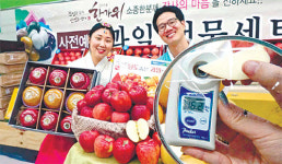 “추석선물, 당도 높은 사과 어때요”