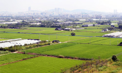 28일 막오르는 수도권 신도시 사전청약…청약 희망자 자격 꼼꼼히 따져봐야